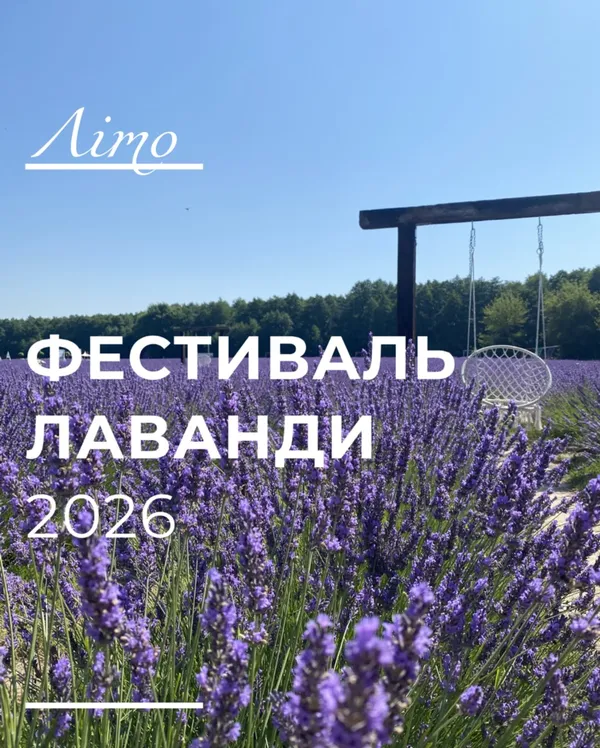 🌷Волинська Голландія: організатори розсекретили плани на цей рік