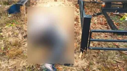 Впала замертво на могилі чоловіка: на Київщині стареньку вбило уламком ракети
