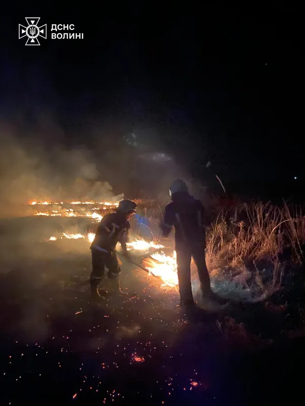 Палало по всій Волині: рятувальники гасили масштабні пожежі сухостою (фото)