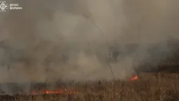 На Волині горіло 1,5 гектара сухостою: палійку затримали (фото)