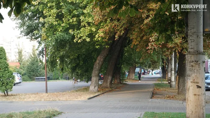 Квіти, песики, каштани: Дубнівська у Луцьку восени (фото)