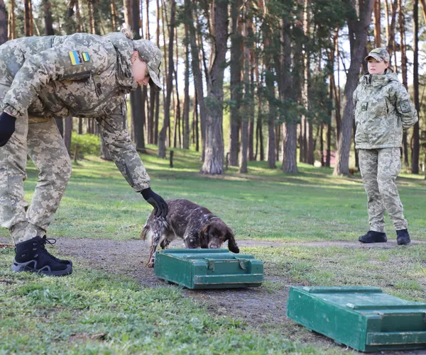 Волинська прикордонниця чекає з російського полону чоловіка та двох собак (фото)