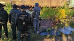 Четверо волинян намагалися «довантажити» потяг з рудою сигаретами (фото)