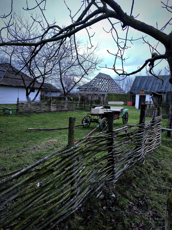 Спокій, лебеді, хатинки: показали неймовірну красу музею під Луцьком (фото)