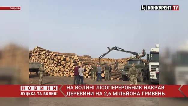 На Волині лісопереробник зберігав 4000 незаконно зрубаних дерев (фото, відео)