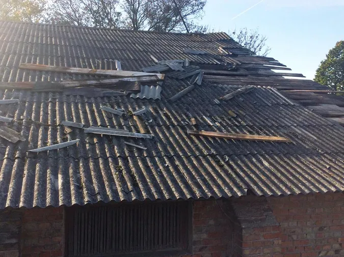 На Волині дерево вибило в гуртожитку вікно і знищило дах