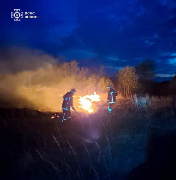 Вогонь знищив 6 га: на Волині сталися пожежі через людську недбалість