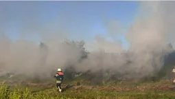 На Волині «товарняк» підпалив 1,5 гектара трави вздовж колій (фото)
