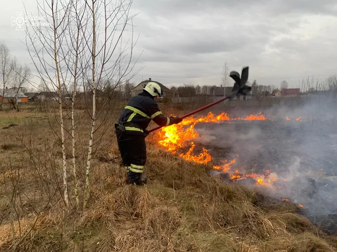 Аномальна зима: на Волині – пожежі в екосистемах (фото)