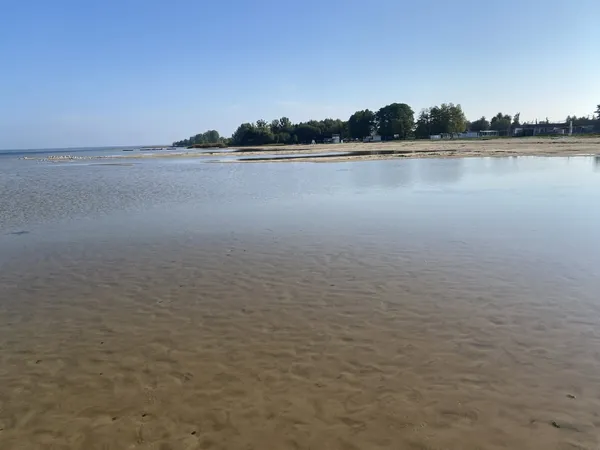 Вода відступила на 70 метрів: показали, яким став Світязь (фото)