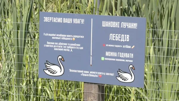 Відвідувачів парку просять берегти лебедів