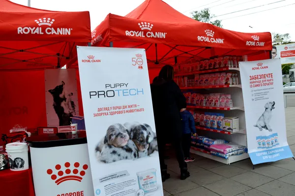 #мокріносики: у луцькому «Промені» песикам шукають хороших власників (фото)