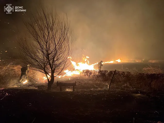 На Волині через людську недбалість вигоріли понад 5 гектарів поля (фото)