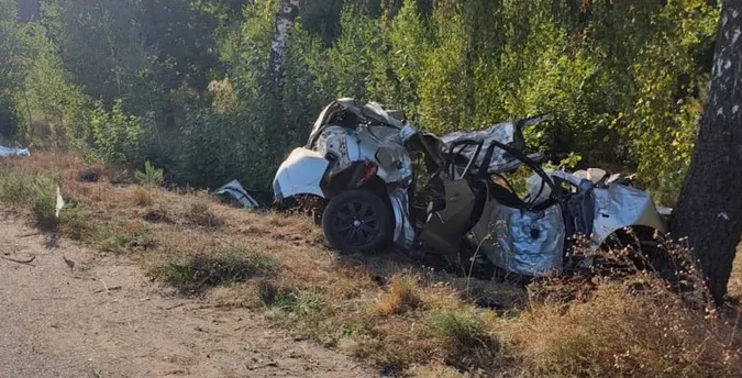Загинули 18-річні хлопці: у Луцькому районі Nissan зіткнувся з деревом (фото)