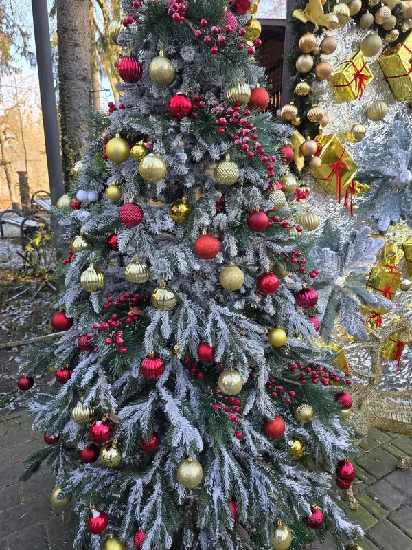 Луцький зоопарк замилував святковим настроєм (фото)
