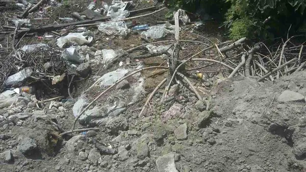 Знайшли причину смороду в Луцьку  (фото) 