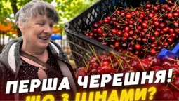 За ціною м'яса: скільки коштує черешня на ринку в Луцьку та коли подешевшає (відео)