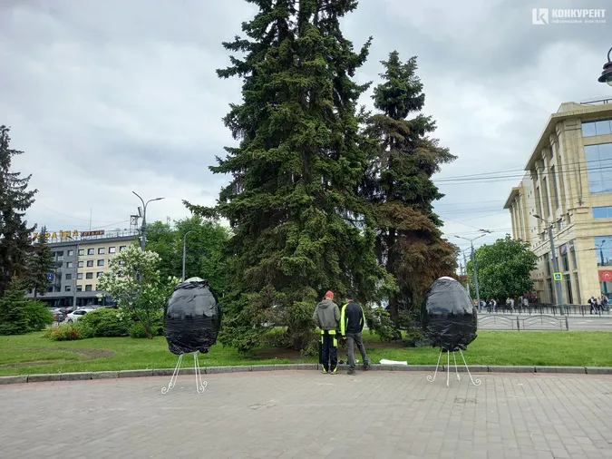 З центру Луцька забрали великодні яйця (фото)
