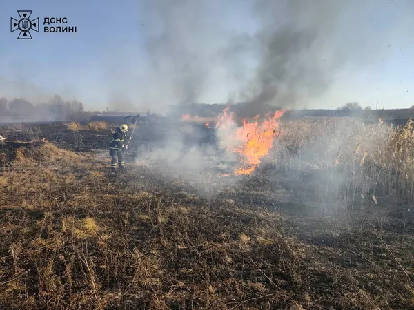 Понад два гектари вогню: на Волині знову палала суха рослинність (фото)