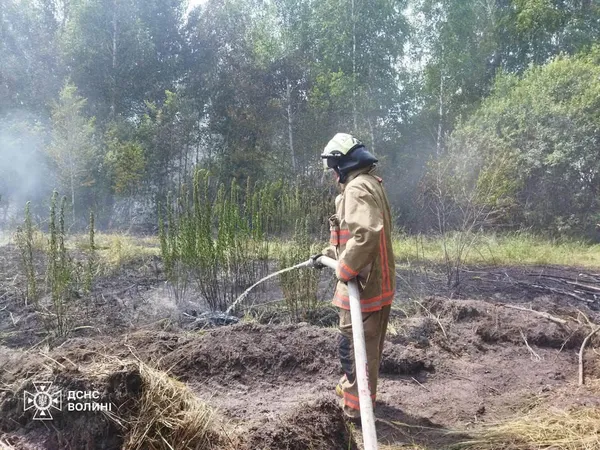 На Волині ліквідували займання у лісовому масиві (фото)