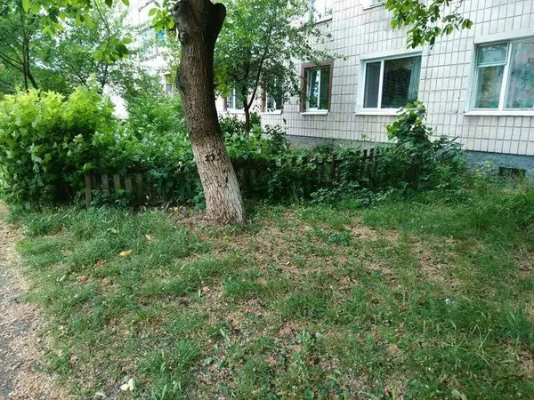 У луцьких дворах «знесли» жахливі паркани (фото)