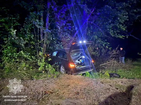 Авто злетіло, віз розвалився: біля Луцька не розминулися кінна підвода та «ауді» (фото)