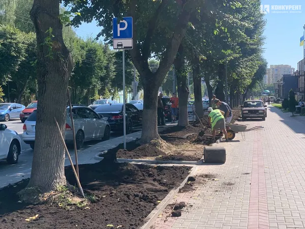 Земельні роботи на проспекті