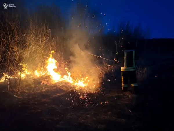 На Волині вигоріло понад 5 гектарів сухостою (фото)
