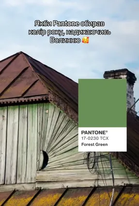 Якби Pantone надихався Волинню (відео)