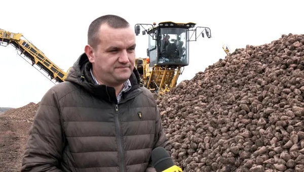 Погода сприяла: на Волині завершили збір цукрових буряків (відео)