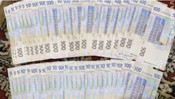 На Волині шахраї видурили у двох пенсіонерів близько 200 тисяч гривень (фото, відео)