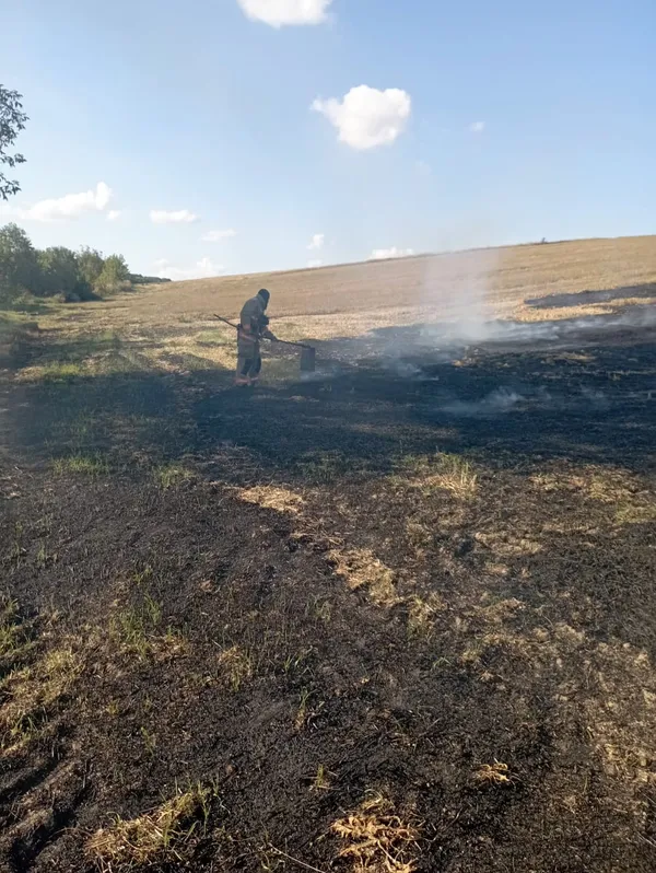 У Луцькому районі жінка підпалила стерню – отримала опіки та отруєння (фото)