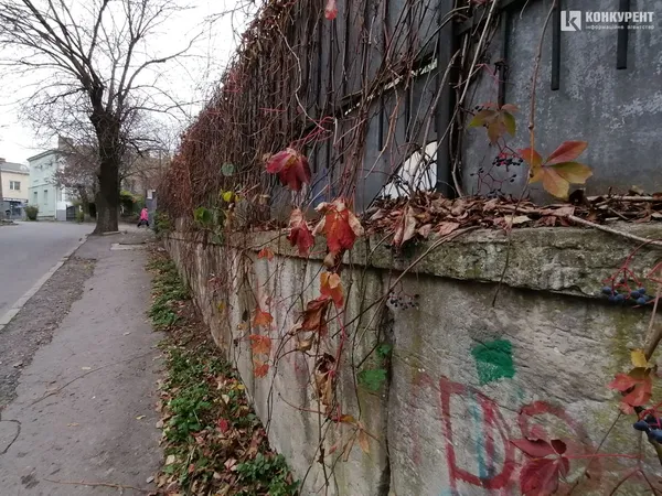 Осінь у  Луцьку (фото)