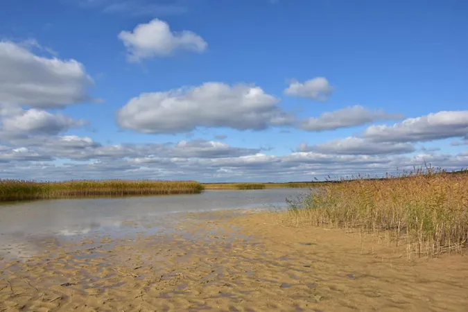Човни на піску й порепане узбережжя: показали осінній Світязь (фото)