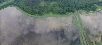 Зубри, дикі орхідеї та Чортове болото: де на Волині дивовижне співіснує з таємничим (фото)