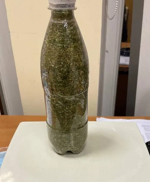 Їхав на заробітки: в «Ягодині» у пасажира автобуса знайшли наркотики та галюциногенні гриби (фото)