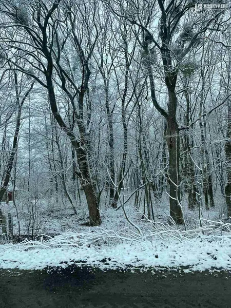 Казкова зима на Волині у квітні: фото, які перехоплюють дух