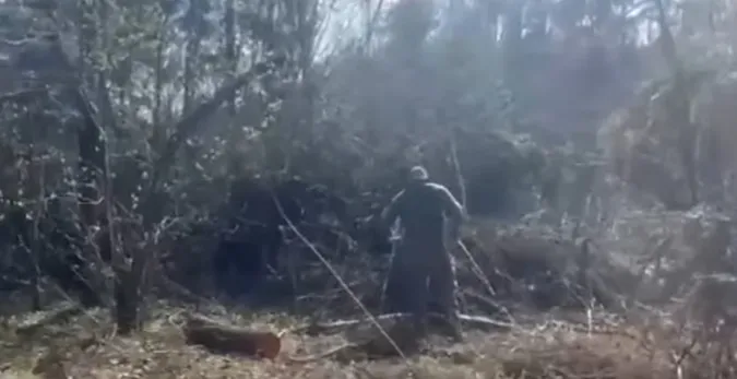 У лісі на Волині знайшли масштабну рубку дерев на мільйони (відео)