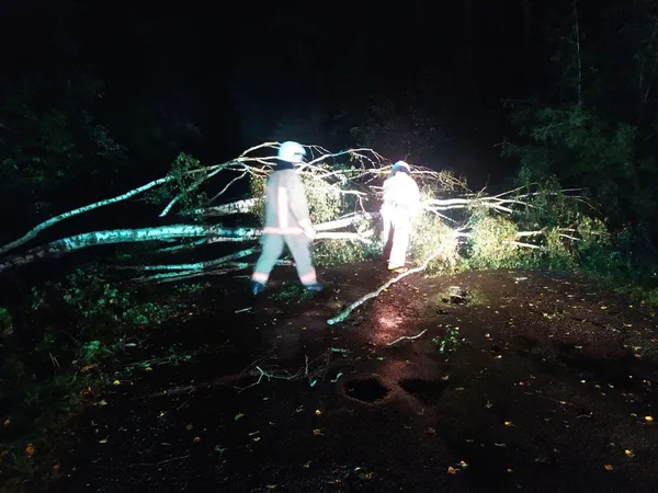 На Волині вночі сильний вітер наробив біди (фото)