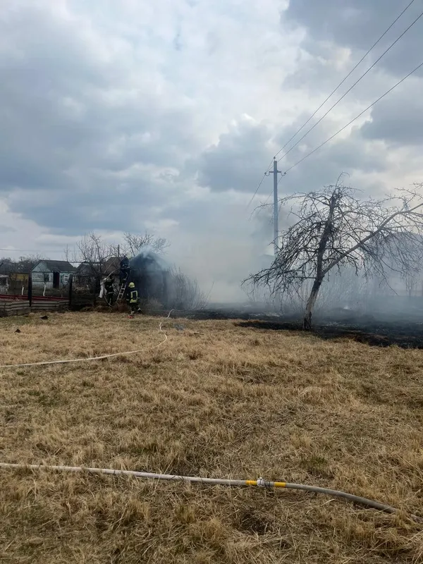 На Волині жінка хотіла спалити суху траву, а запалила свою дачу (фото)