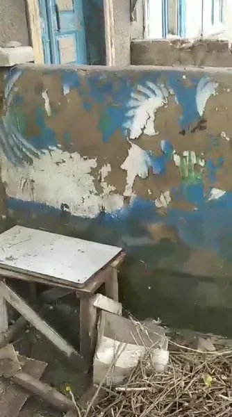 «Це траур!»: у будинку-музеї Поліни Райко в Олешках збереглося близько 30% фресок (фото)
