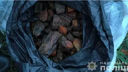 На Волині зловили рівнянина з 30-ма кілограмами бурштину (фото)
