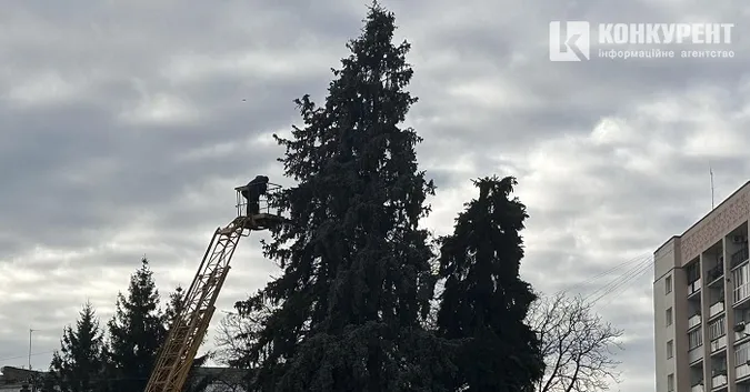 Головні ялинки Луцька вже почали прикрашати (фото)