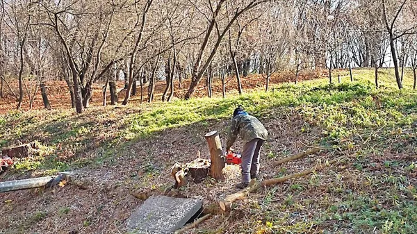 У Луцьку в «Дубовому гаю» чистять береги Жидувки (відео)