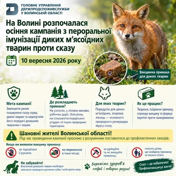 Сотні тисяч доз розкладуть просто в лісах: на Волині стартувала вакцинація від сказу (фото)