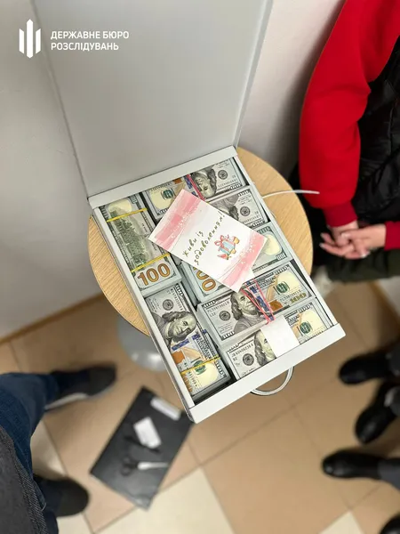 У депутатки Хмельницької міськради знайшли понад 1,5 млн незадекларованих доларів (фото)