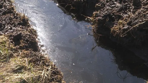 Масляна плівка на поверхні водойми
