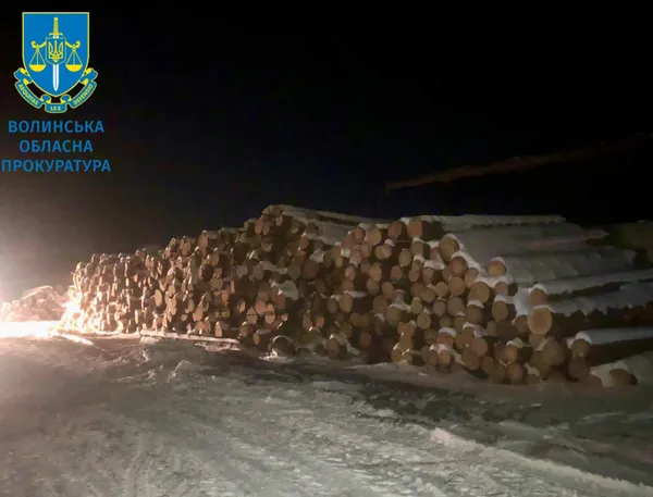 Збитків мільйони гривень: на Волині викрили незаконні вирубки деревини (фото)