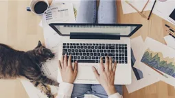 Волинян кличуть на роботу: які є вакансії та яку зарплату пропонують (відео)
