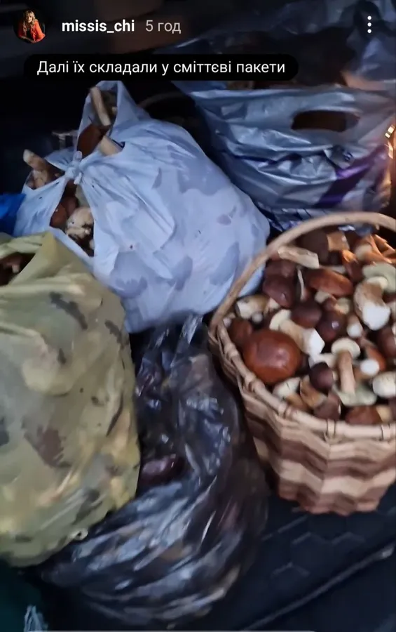 На головну муніципалку Луцька Юлію Чіпак «напали» гриби (фото)